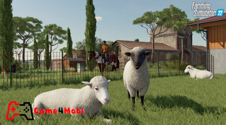 Chăn nuôi gia súc trong Farming Simulator 22